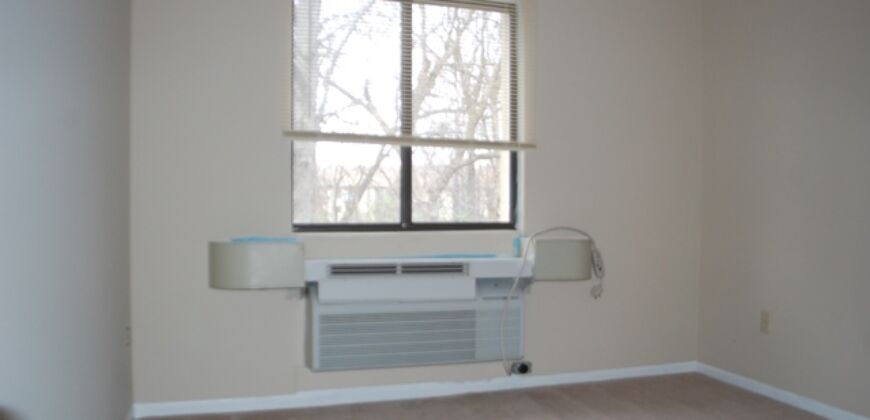 Quiet Living 55 & older 2-bedroom 1-bath Condo