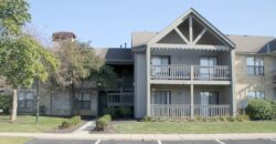 Beautiful, 1 BR Apartment, close to Worthington