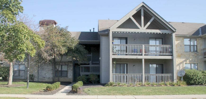 Beautiful, 1 BR Apartment, close to Worthington