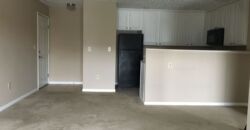 Beautiful, 1 BR Apartment, close to Worthington