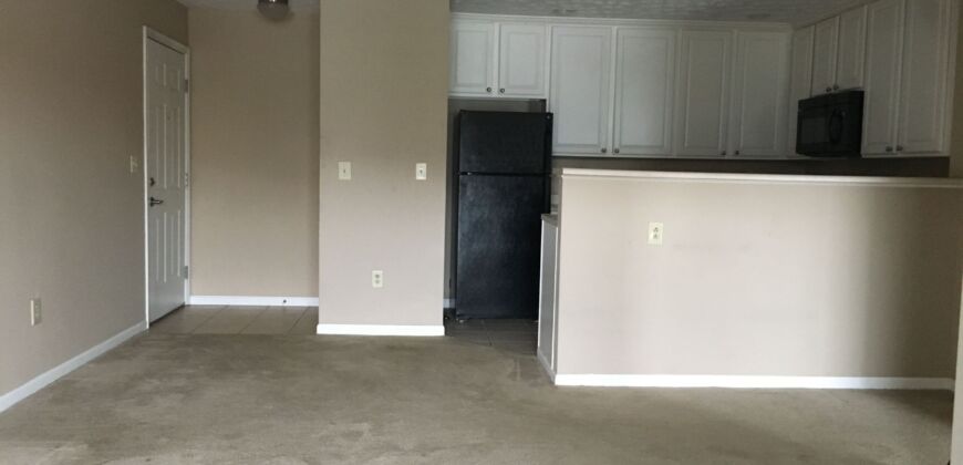 Beautiful, 1 BR Apartment, close to Worthington