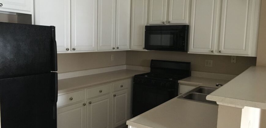 Beautiful, 1 BR Apartment, close to Worthington