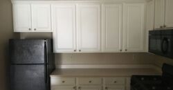 Beautiful, 1 BR Apartment, close to Worthington