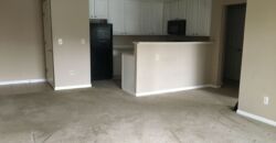 Beautiful, 1 BR Apartment, close to Worthington