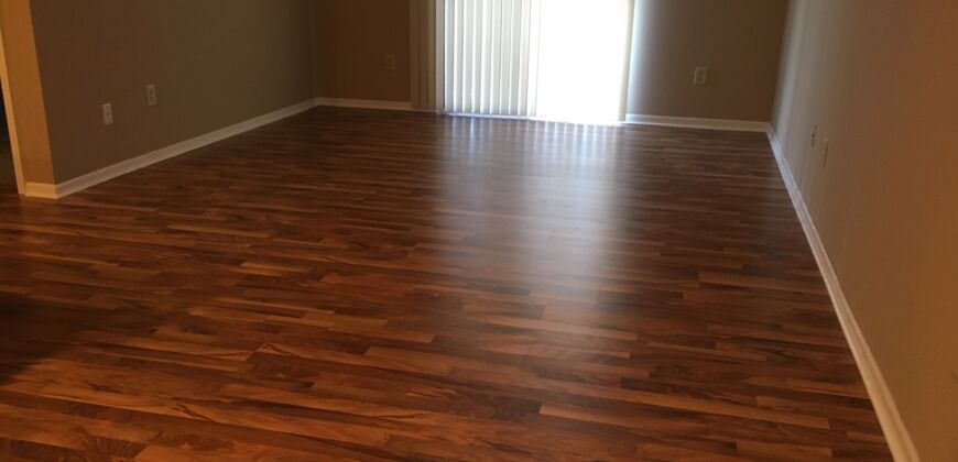 Beautiful, 1 BR Apartment, close to Worthington