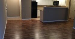 Beautiful, 1 BR Apartment, close to Worthington