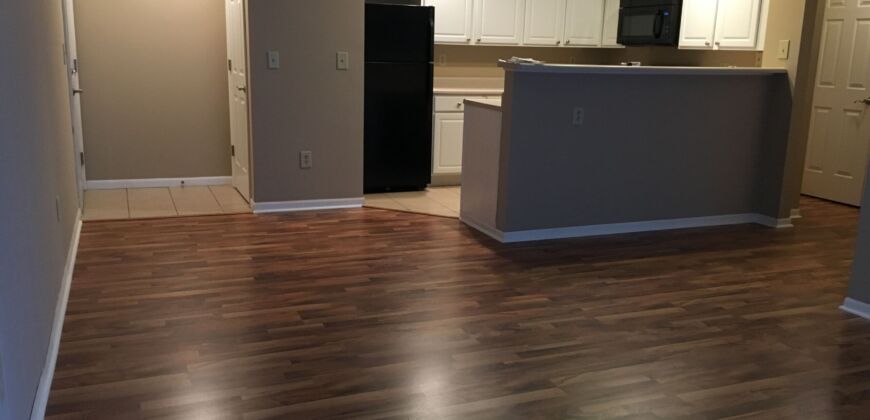 Beautiful, 1 BR Apartment, close to Worthington