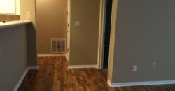 Beautiful, 1 BR Apartment, close to Worthington