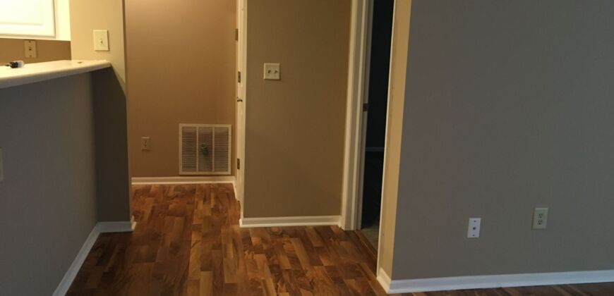 Beautiful, 1 BR Apartment, close to Worthington