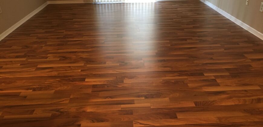 Beautiful, 1 BR Apartment, close to Worthington