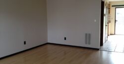 Worthington 3 bedroom, 1.5 bath end unit condo w/ 1 car garage & full basment