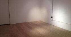 Worthington 3 bedroom, 1.5 bath end unit condo w/ 1 car garage & full basment