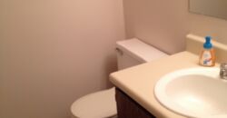 Worthington 3 bedroom, 1.5 bath end unit condo w/ 1 car garage & full basment