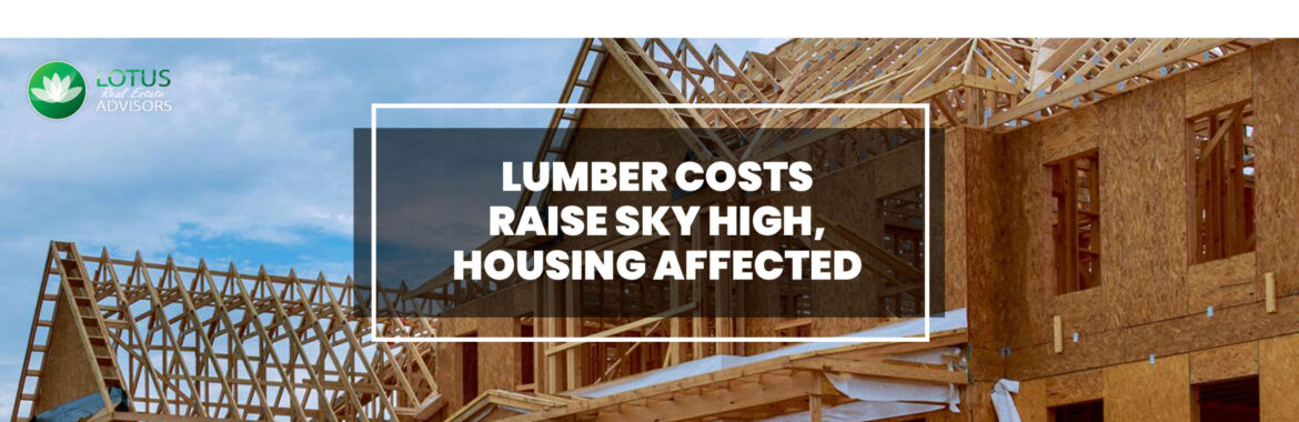 Escalated Lumber Price