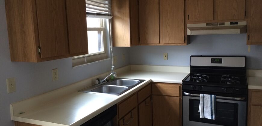 Lovely, Spacious Condo in Worthington Schools!