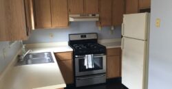 Lovely, Spacious Condo in Worthington Schools!