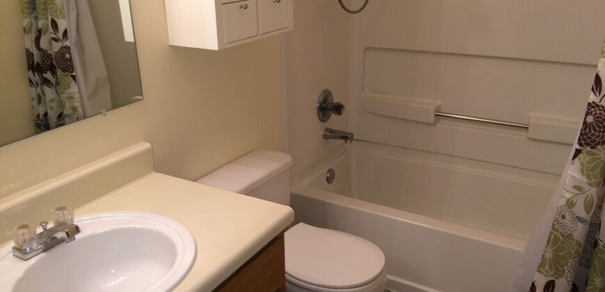 Lovely, Spacious Condo in Worthington Schools!