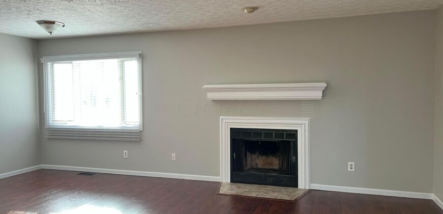 Spacious Condo in Dublin Schools