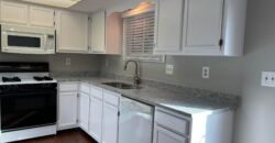 Spacious Condo in Dublin Schools