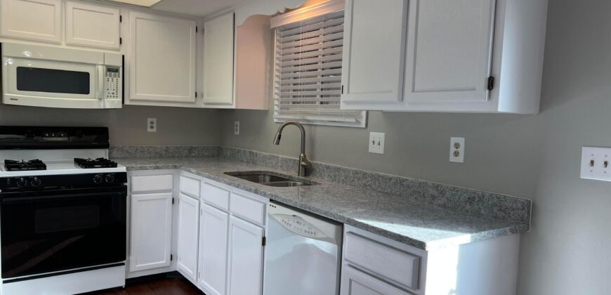 Spacious Condo in Dublin Schools