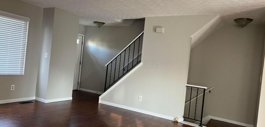 Spacious Condo in Dublin Schools