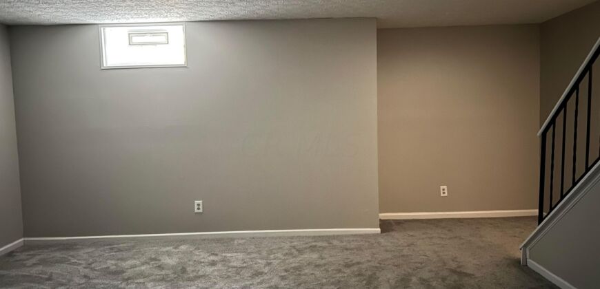 Spacious Condo in Dublin Schools