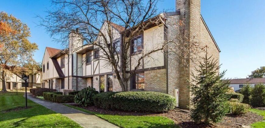 Spacious Condo in Dublin Schools